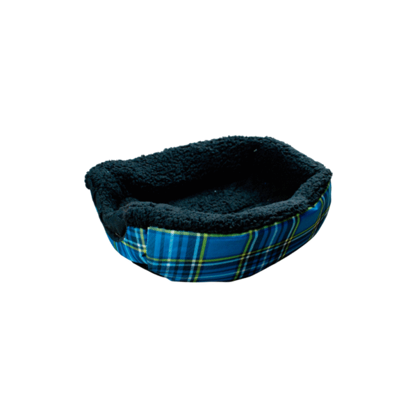 Cama-Casa Económica