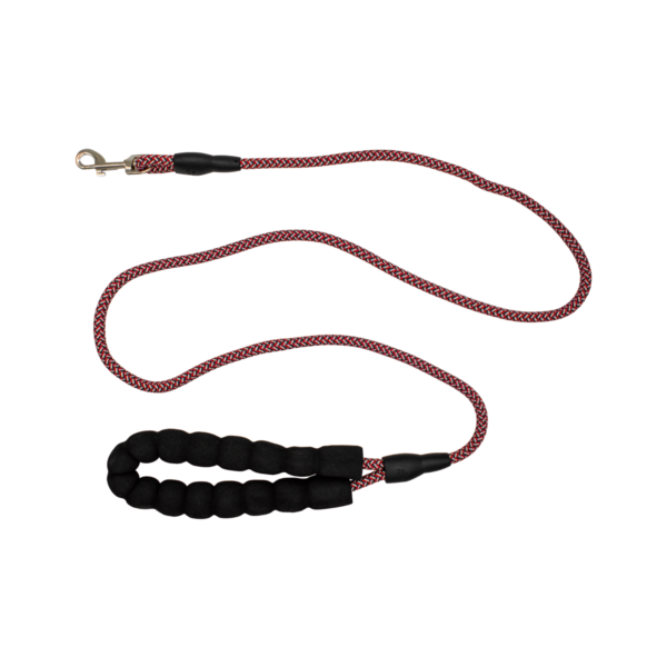 Correa Delgada con Bandola Pequeña