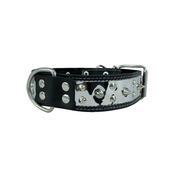 Collar Ancho de Picos Placa