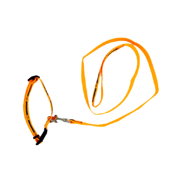 Collar con Correa Med. Fosfo