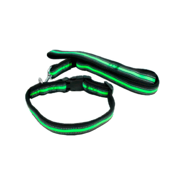 COLLAR NEON Collar con Correa Neón