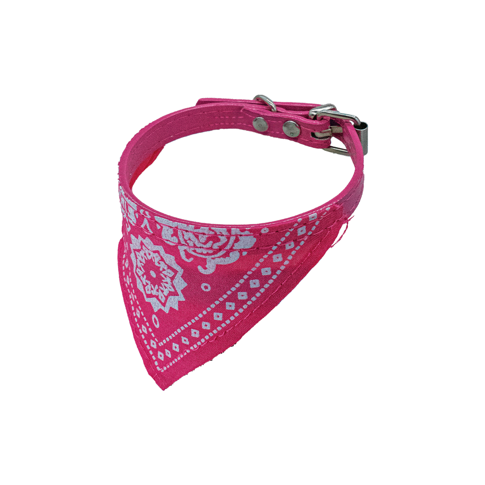 COLLAR PALIACATE Collar Fashion Paliacate