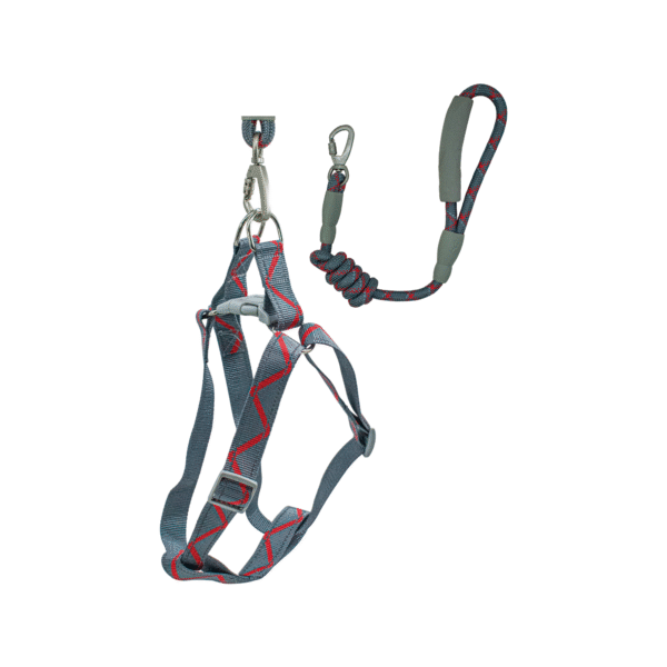 CORREA 320 Correa #320