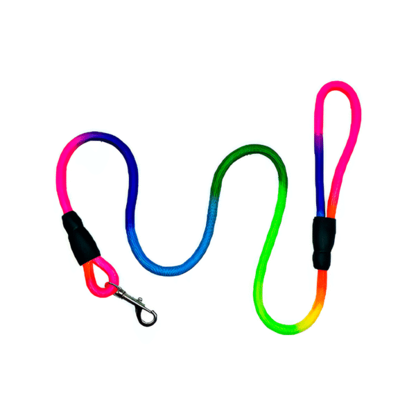 Correa Arcoiris Bandola