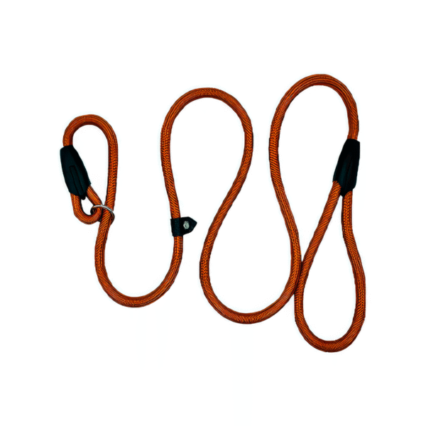 Correa de Castigo Trenzada con Argolla