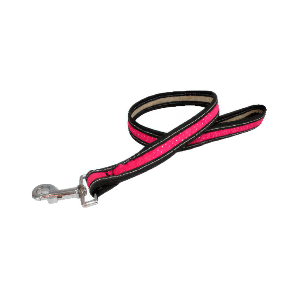 Correa de Cinta Ribete