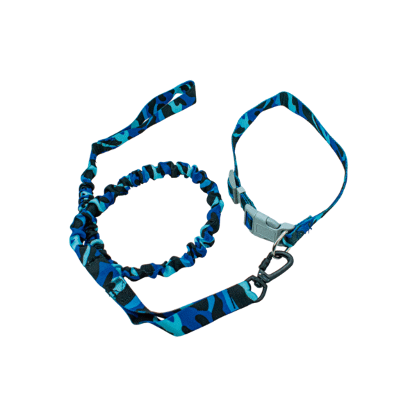 Correa con Collar con Resorte Militar