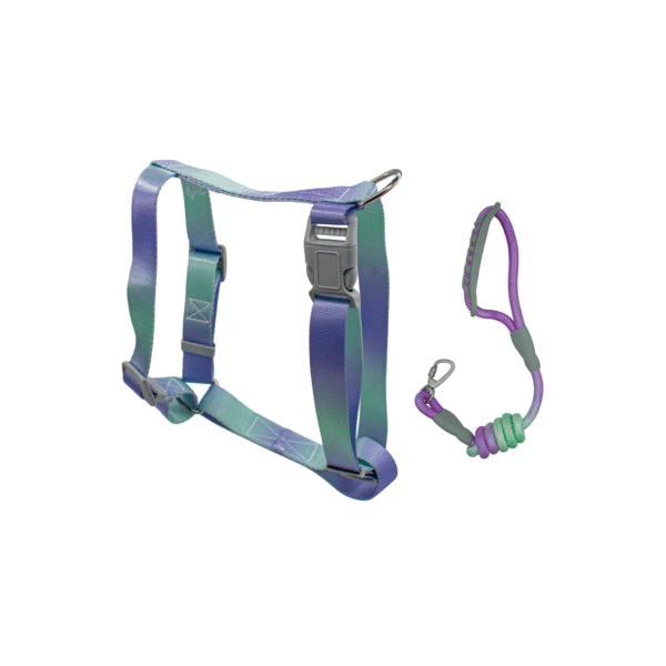 CORREA CON PECHERA #314