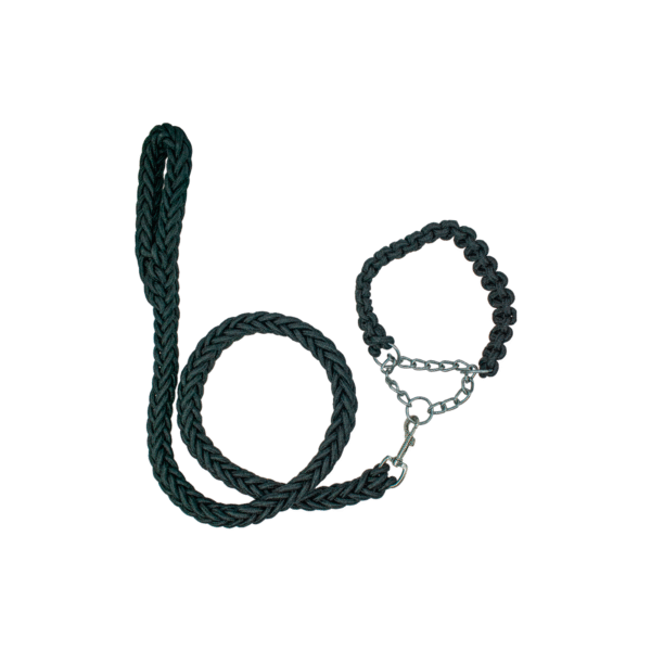 Correa Trenzada con Collar