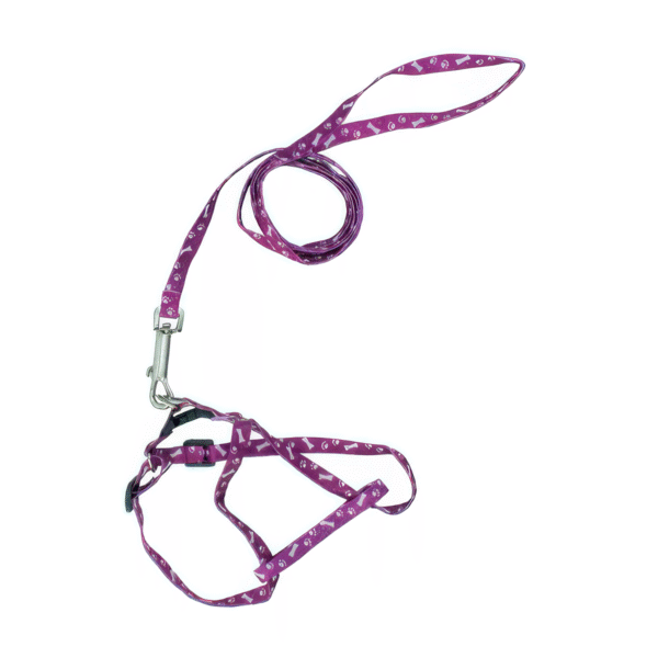 CORREA ECONOMICA Correa Economica 12 Piezas