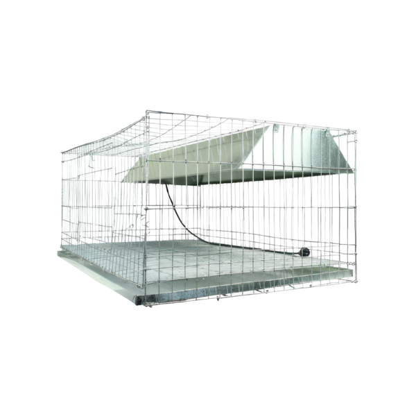 CRIADORA ECONOMICA Criadora Económica