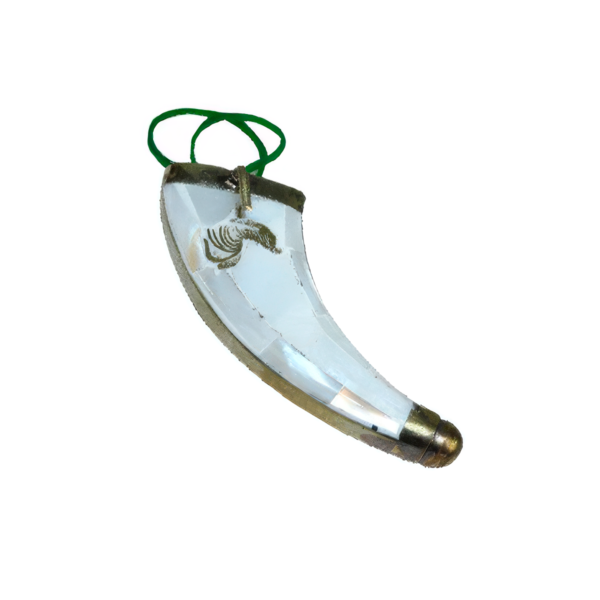 CUBIERTA NACAR Cubierta de Concha Nácar