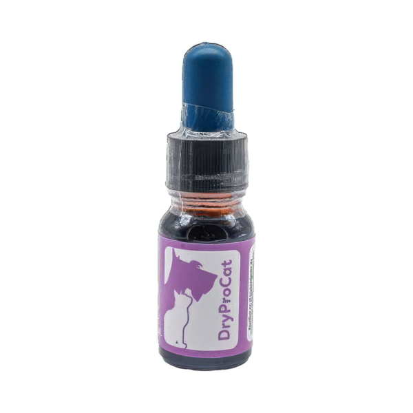 DRYPROCAT Dryprocat Cat Gástrico