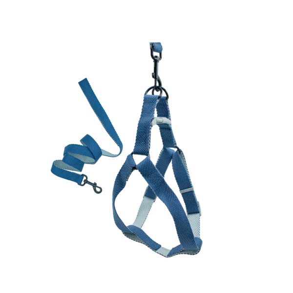 Juego de Arnes para Mascota