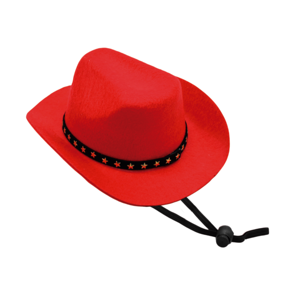 Sombrero Texana para Razas Grandes