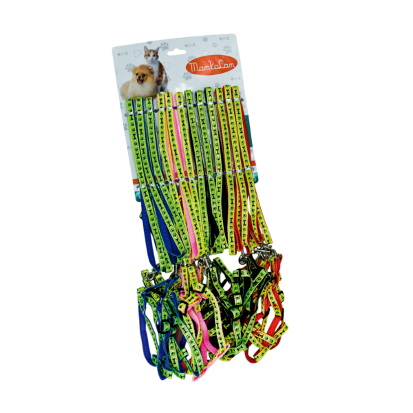 Correa con Pechera (12 Piezas) Recru Reflejante