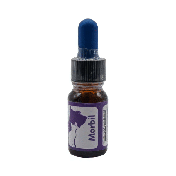 MORBIL INMUNE Morbil Inmune