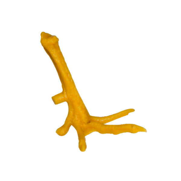 Pata de Plástico para Práctica de Amarre