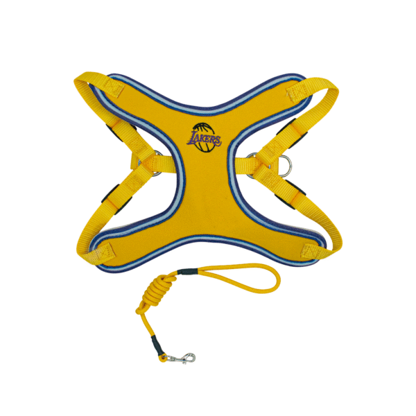 PECHERA AMARILLA Arnes Basquetbol