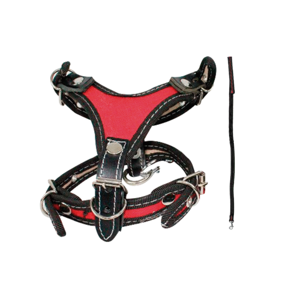 Pechera de Cinta Ribete con Correa