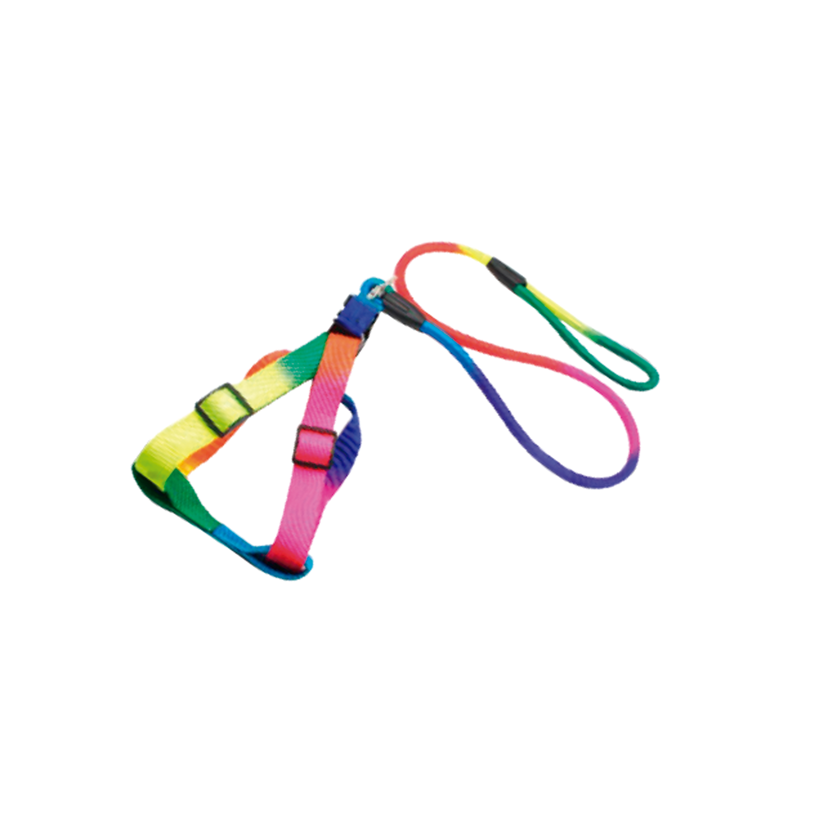 Pechera con Correa de Colores