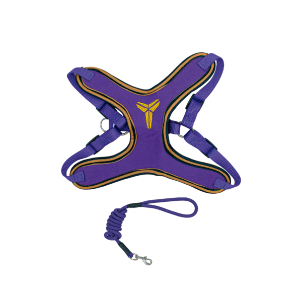 PECHERA MORADA-1 Arnes Basquetbol