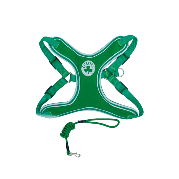 PECHERA VERDE Arnes Basquetbol