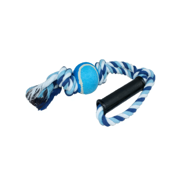 Pelota con Agarradera