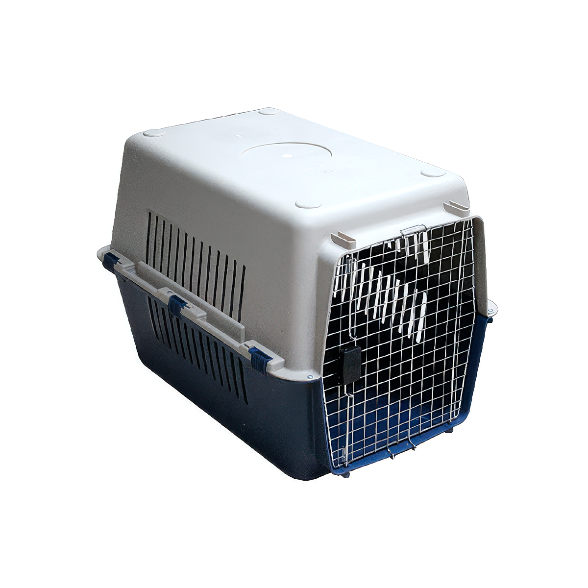 Transportadora Grande Sin Agarradera