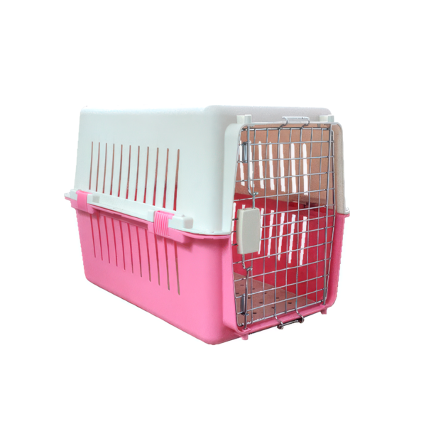 Transportadora Chica Línea Laterales