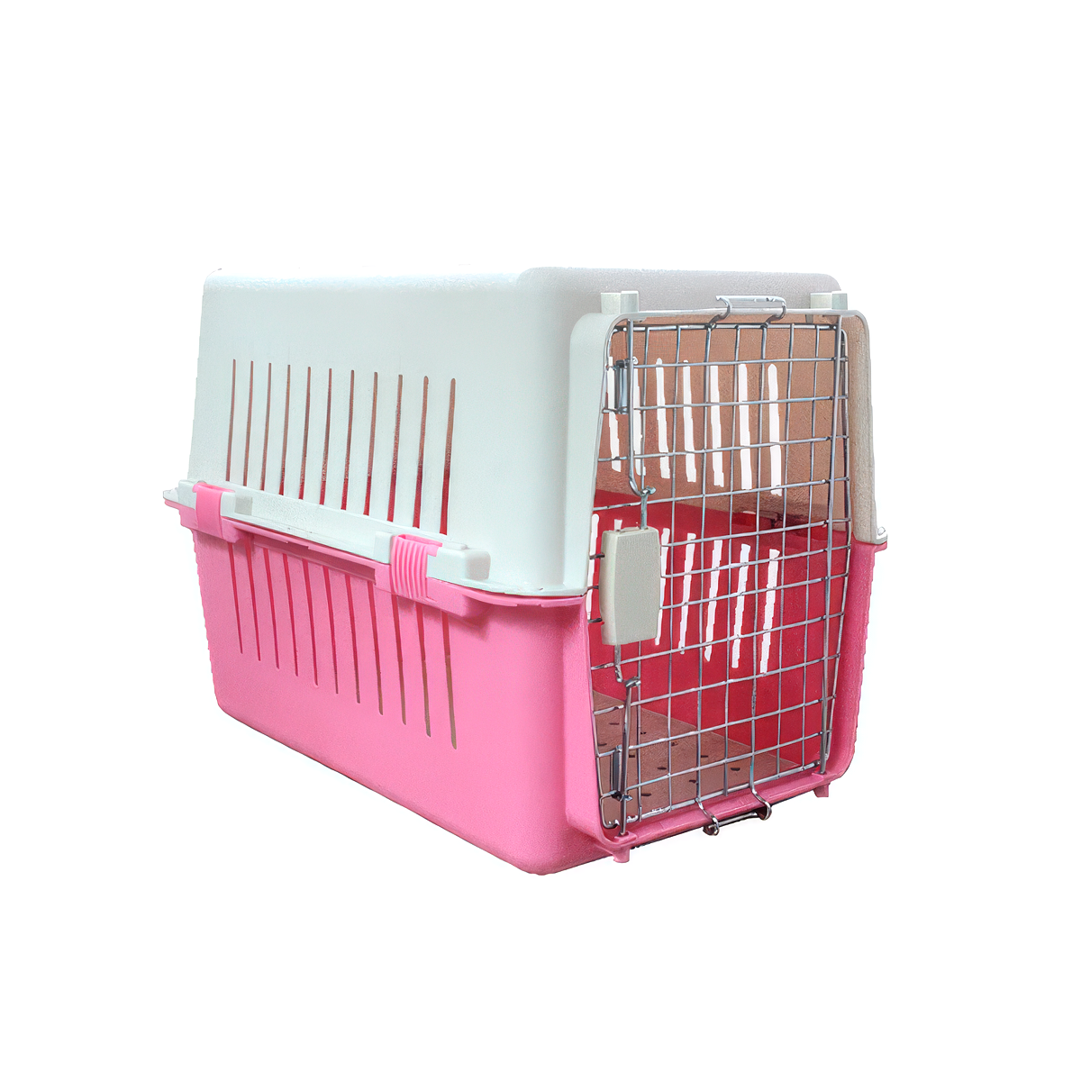 Transportadora Chica Línea Laterales