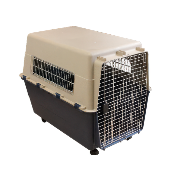 Transportadora XL sin Agarradera con Rueditas